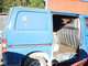 toyota-hiace-