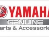 YAMAHA  FZS600, R6, R1