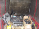 iveco-daily-