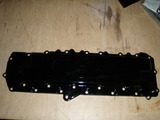 mercury vesikansi