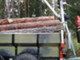 broncon-vinssi-karri-nostin-