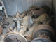 nissan-king-cab-25-di-