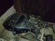 suzuki-df70-