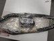 givi-suzuki-gsx650f-
