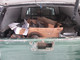 nissan-king-cab-