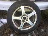 GT Radial