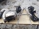 ski-doo-renegade-600-