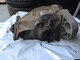 bmw-