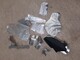 polaris-sportsman-850-