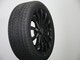 gripmax-wolfrace-