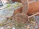 kverneland-stengomat-osia-