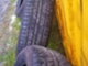 bridgestone-