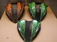 arcticcat-