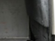 wv-t-5-transporter-