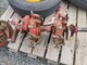 welger-ap41-kanttipaalaimen-varaosia-