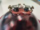 massey-ferguson-takavalo-polttimo-