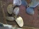 federal-useita-