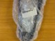 polaris-2203403-