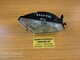 polaris-2410736-