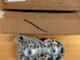 3021790-polaris-