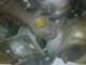 engle-