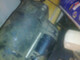 engle-