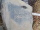 ford-taunus-
