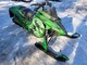 arctic-cat-