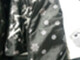 halvarssons-shannon-