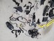 skidoo-backcountry-850-
