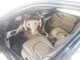 rover-75-