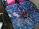 mercedes-benz-sprinter-