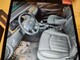 jaguar-x-dsl-jaguar-x-08-dsl-osina-