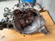 toyota-corolla-