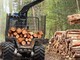 laadukkaat-metsarenkaat-