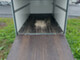 majava-m8540j-umpiperakarry-