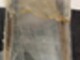 buster-xl-2012-xxl-2015-554632-