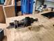 kaytetty-viallinen-polaris-kelkan-asm-pinion-pinion-brkt-1204130-