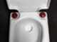 visa-potty-248-