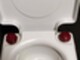 visa-potty-248-