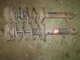 nissan-almera-n15-