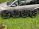dbv-