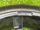 dbv-