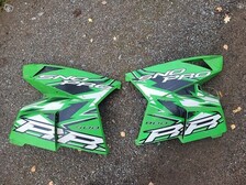 Arctic cat