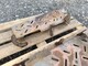 massey-ferguson-165-astinlaudat-