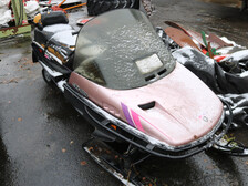 ski-doo  safari