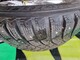 michelin-