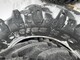 trelleborg-tm800-600-65-r38-ja-480-65-r28-