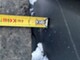 firestone-traction-65-