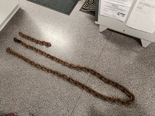 Tempo Belarus PRT kuivalantakärry